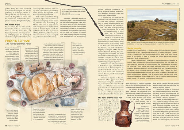 Medieval World 17 (pre - order) - Karwansaray Publishers