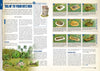Karwansaray BV Print, Paper Wargames, Soldiers and Strategy 124 (pre-order)