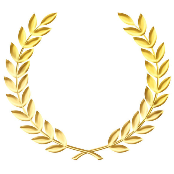 Contest results - Karwansaray Publishers