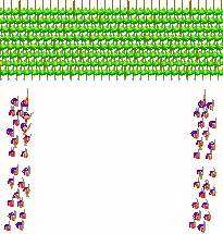 Gaps in the formation - Karwansaray Publishers