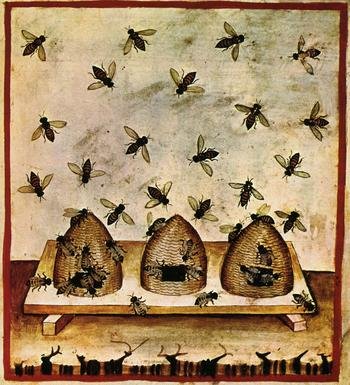 In Praise of Bees - Karwansaray Publishers