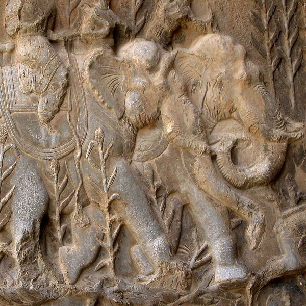 Pachydermophobia - Ammianus Marcellinus and his fear of elephants - Karwansaray Publishers