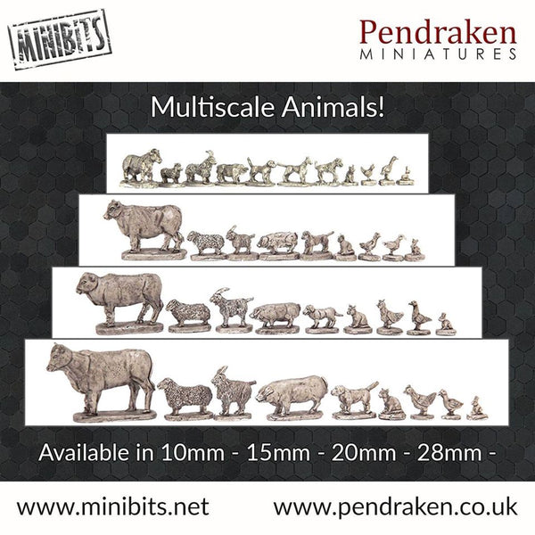 Pendraken &#8216;Zoo&#8217; released - Karwansaray Publishers