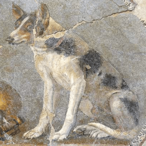 QUIZ: Animals in the Ancient World! - Karwansaray Publishers