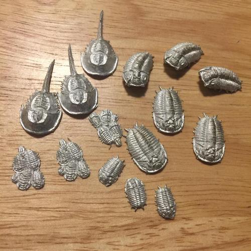 Trilobites and Horseshoe Crabs - Karwansaray Publishers