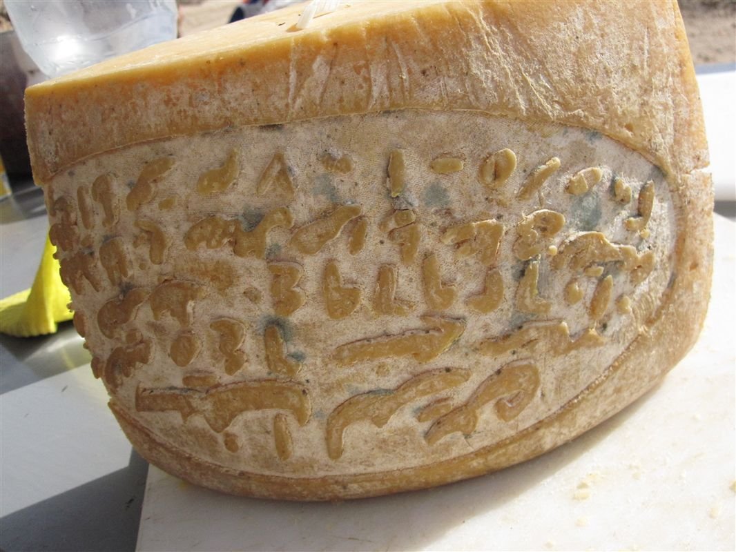 World’s Oldest Cheese Discovered!