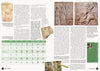 Ancient History Magazine 25-Karwansaray BV