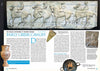 Karwansaray BV Ancient Warfare print issue Ancient Warfare XVI.3 (pre-order)