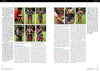 Karwansaray BV Print, Paper Medieval Warfare VI.3