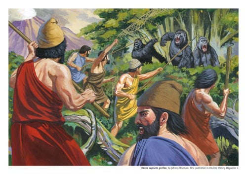 Karwansaray BV Print, Paper, Poster Print: Hanno and the gorillas