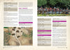 Karwansaray BV Print, Paper Wargames, Soldiers and Strategy 91